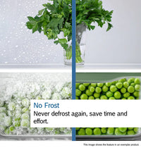 Bosch Series 2 Free-standing Fridge With Freezer | White| KGN27NWEAG