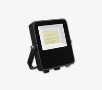 Lumeno Hybrid Series 30W Cct Flood Lamp