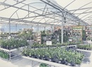 Garden Center