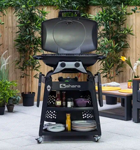 Sahara Storm 2 Burner Gas Barbecue