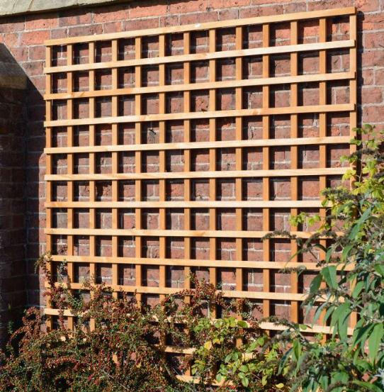 Heavy Square Trellis 100mm Gap 1800x1800mm 10081205