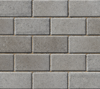 Slane Paving Natural 200x100x60mm M2