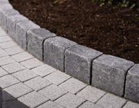 Kerb Block 100x160x190mm | Rumbled | Bracken