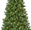 Fir Pre-Lit Micro LED Christmas Tree 7ft/210cm