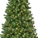 Fir Pre-Lit Micro LED Christmas Tree 8ft/240cm