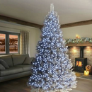 2000 Multi Action Led TreeBrights Timer White