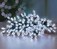 24 Multi Action Battery Operated  White LEDs With Timer