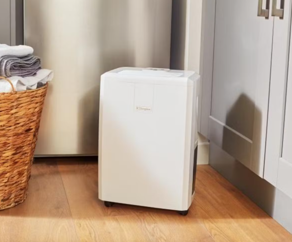 Dimplex Dehumidifier 10L