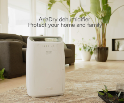 Delonghi Dehumidifier 12l | DEX212SF