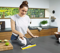 Karcher Window Vac WV6 Plus N