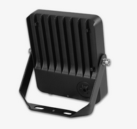 Lumeno Hybrid Series 30W Cct Flood Lamp