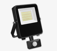 Lumeno Hybrid Series 30W Cct Flood Lamp