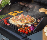 Sahara Pizza Stone Insert for BBQ