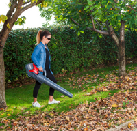 efco battery leaf blower Kit Sai60kit 5ah