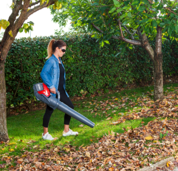 efco battery leaf blower Kit Sai60kit 5ah