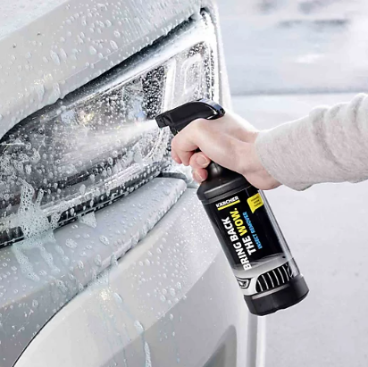 Karcher Insect Remover 500ml