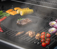 Sahara Reversible Round Griddle Plate