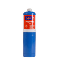Bullfinch Gas Cannister 400G