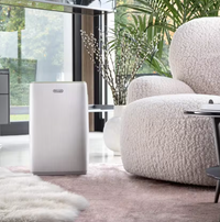 Delonghi Dehumidifier 12l | DEP212
