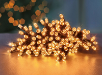 24 Multi Action Battery Operated LEDs With Timer