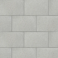 Newgrange Flag 600X300X40mm | Silver Granite | Shot Blast