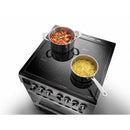 Rangemaster Professional Plus 60cm Stainless Steel - Induction