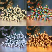 24 Multi Action Battery Operated LEDs With Timer