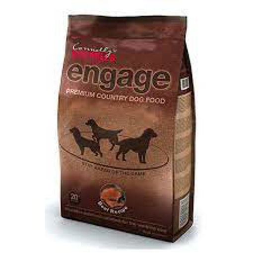 Picture of RM Engage Beef 3kg