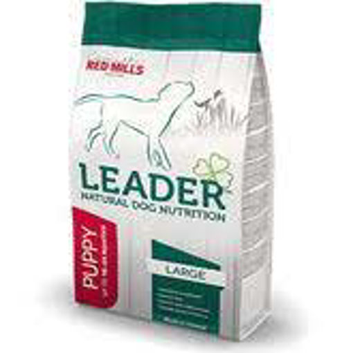 Picture of RM Leader Puppy Large 2kg