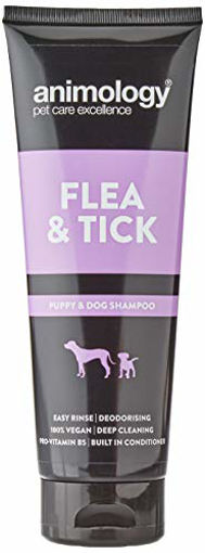Picture of Animology Flea And Tick Shampoo 250ml