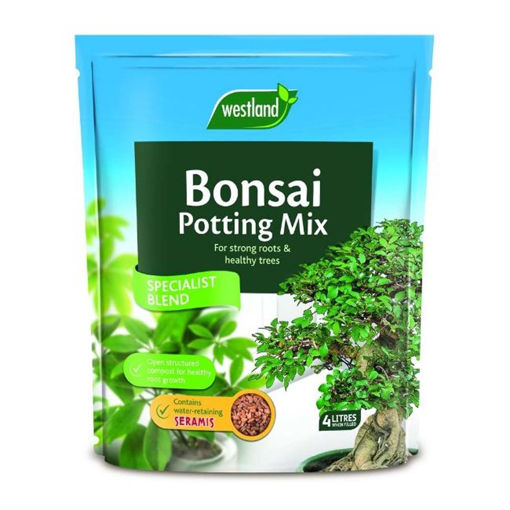 Picture of Westland Bonsai Potting Mix 4L
