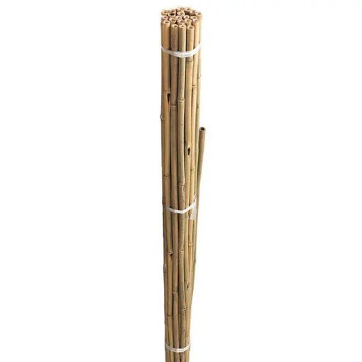 Picture of Grow It Bamboo Canes Bundle 180cm (10 Pack)