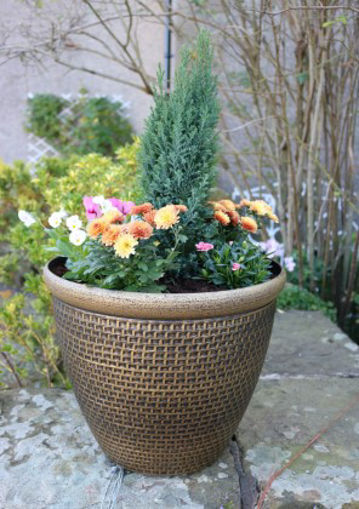 Picture of Cromarty Planter 30cm | Antique Gold