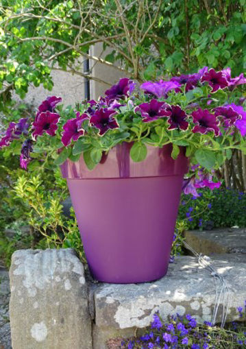 Picture of Trends Collection Planter 178x26cm | Burgundy