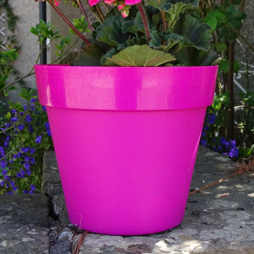 Picture of Trends Collection Planter 180x34cm | Pink 