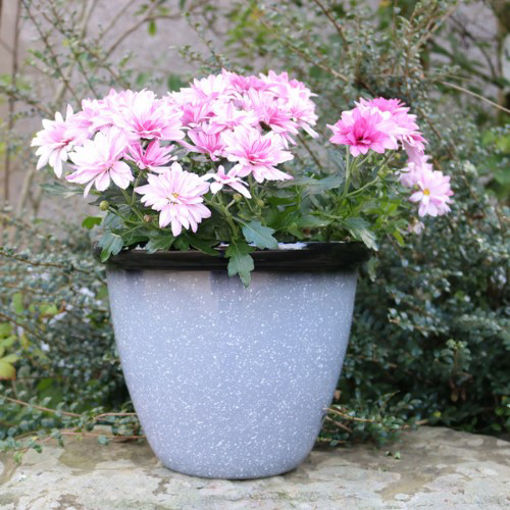Picture of Honey Pot 13" | Speckled Grey