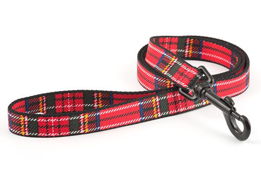 Picture of Ancol Tartan Nylon Lead Red 19mmx1m
