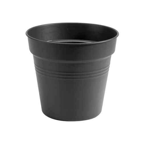 Picture of Elho Green Basics Growpot 24cm | Living Black 