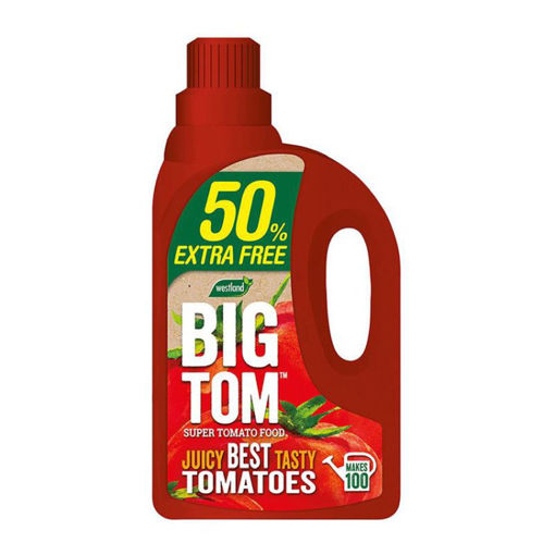 Picture of Westland Big Tom Tomato Feed 1.25L + 50% Extra Free