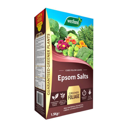 Picture of Westland Epsom Salts 1.5kg
