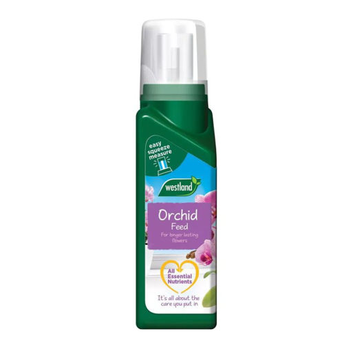 Picture of Westland Orchid Feed 200ml
