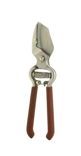 Picture of K&S Traditional Anvil Secateurs 