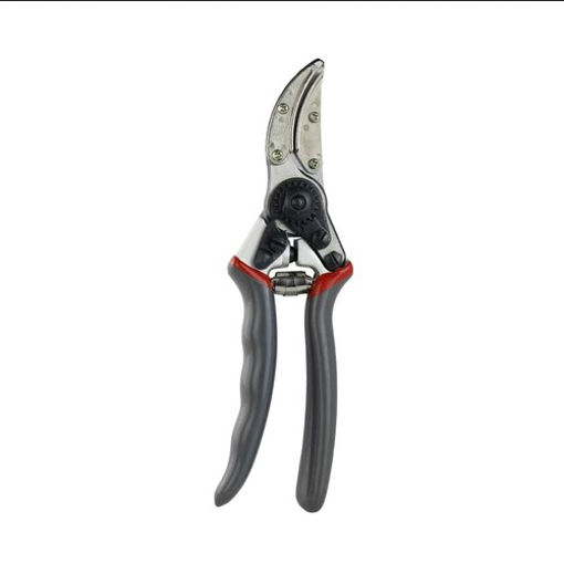 Picture of K&S Rose Cut & Hold Secateurs