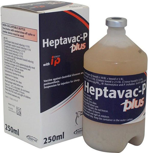 Picture of Heptavac P Plus 250ml