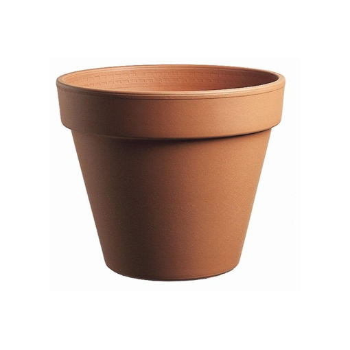 Picture of Lemonfield Standard Pot 21cm | Terracotta