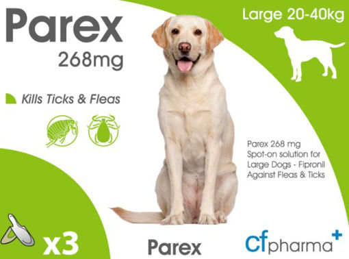 Picture of Amflee Spot On Large Dog 20-40kg 268mg 3pk