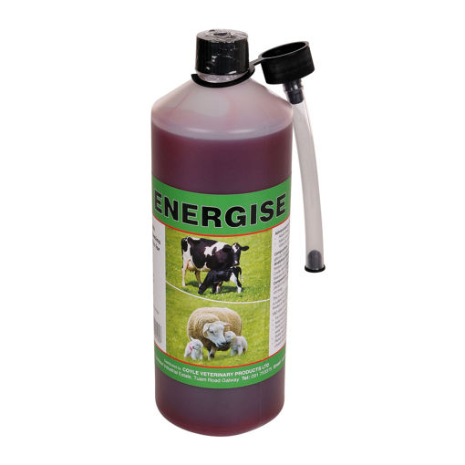 Picture of Energise 500ml