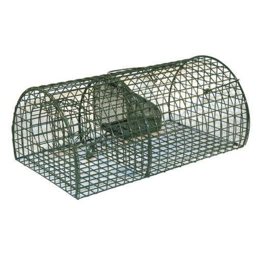 Picture of Rat Cage