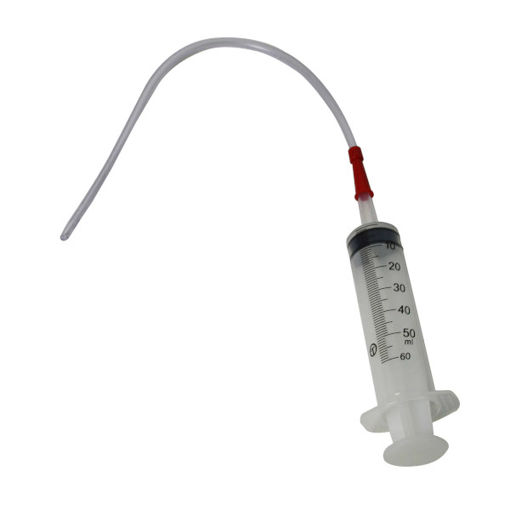 Picture of Lamb Syringe With Catheter