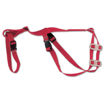 Picture of Ritchey Sheep Prolapse Truss | Red